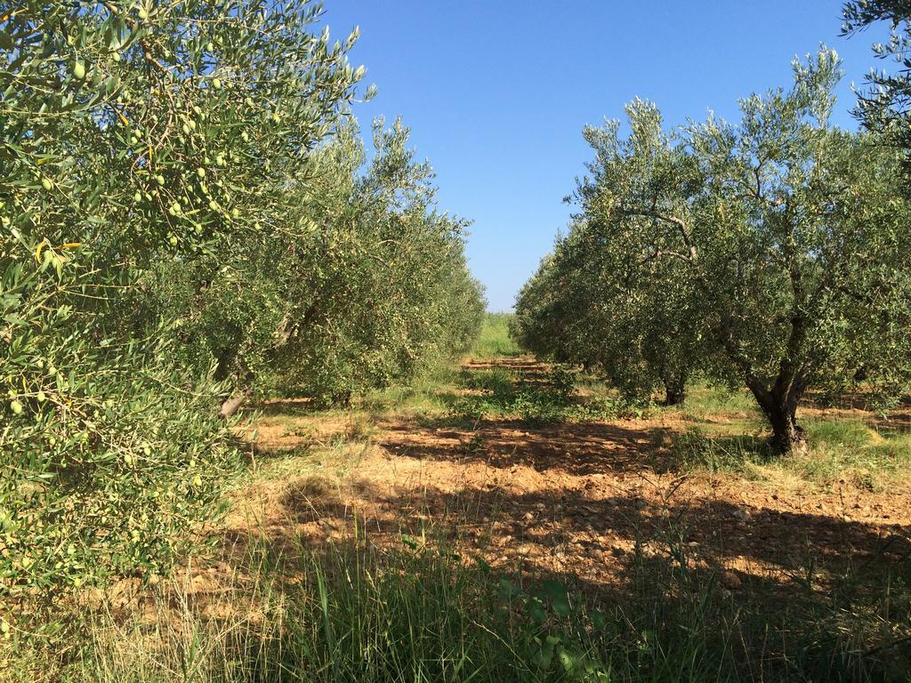 شقة Kostas House غيراكيني الغرفة الصورة